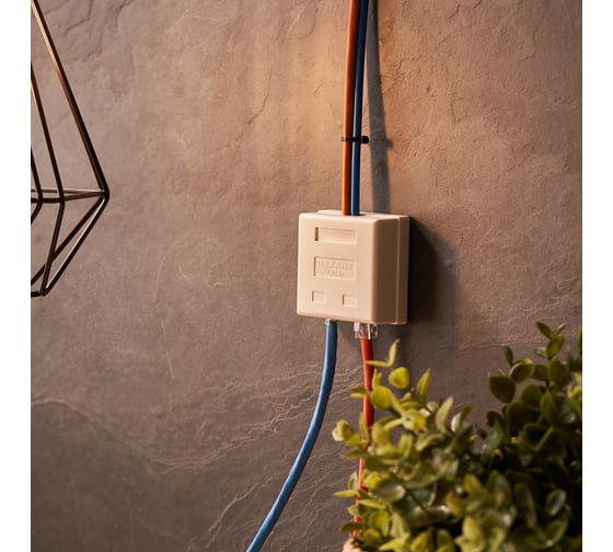 Розетка телефонная + сетевая LAN REXANT на стену RJ-45 (8Р8С) и RJ-11 (6Р4С) 06-0106-C