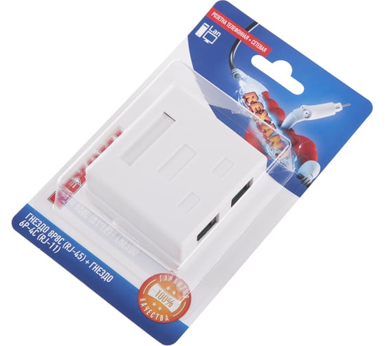 Розетка телефонная + сетевая LAN REXANT на стену RJ-45 (8Р8С) и RJ-11 (6Р4С) 06-0106-C