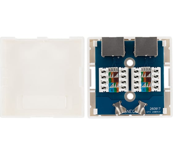 Компьютерная внешняя экранированная розетка REXANT 2-порта RJ-45 (8P8C), FTP категория 6 03-0146