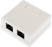 Компьютерная внешняя неэкранированная розетка REXANT 2-порта RJ-45 (8P8C), UTP категория 6 03-0136