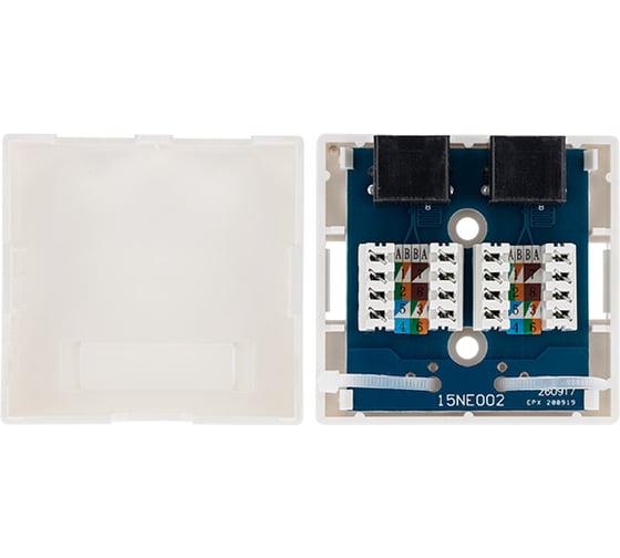 Компьютерная внешняя неэкранированная розетка REXANT 2-порта RJ-45 (8P8C), UTP категория 6 03-0136