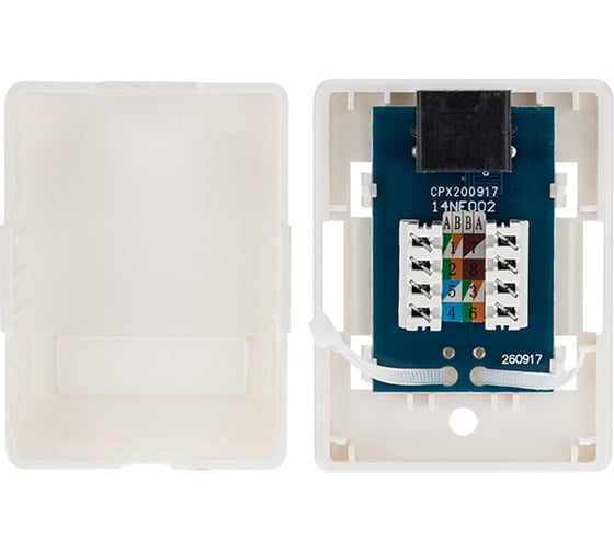 Компьютерная внешняя неэкранированная розетка REXANT 1-порт RJ-45 (8P8C), UTP категория 6 03-0132