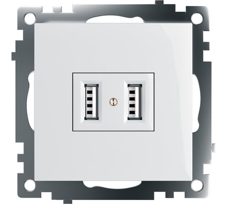 2-местная розетка USB STEKKER (механизм), GLS10-7115-01, 250B, 2,4А, серия Катрин, белый 39686
