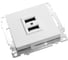 2-местная розетка USB STEKKER (механизм), GLS10-7115-01, 250B, 2,4А, серия Катрин, белый 39686 4