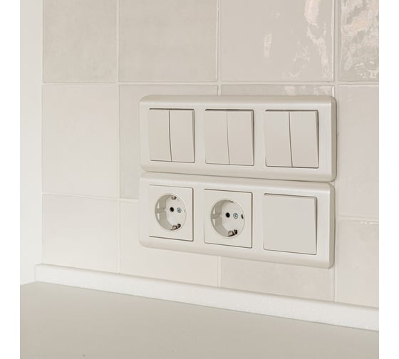 Двухклавишный проходной выключатель WERKEL W1122013 перламутровый рифленый a051185