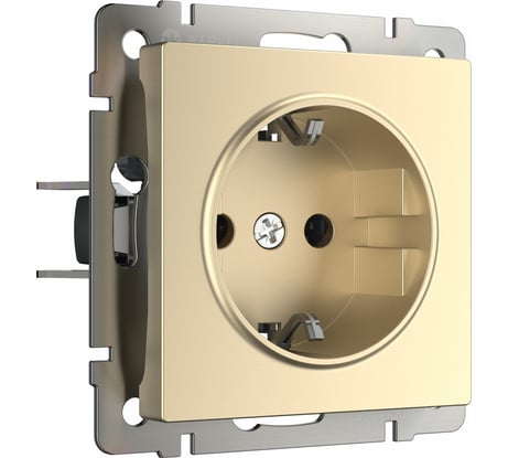 Розетка WERKEL W1171011 с заземлением шампань a050867