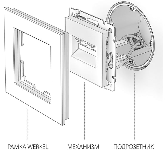 Двойная розетка Ethernet RJ-45 WERKEL W1181103 слоновая кость a051489