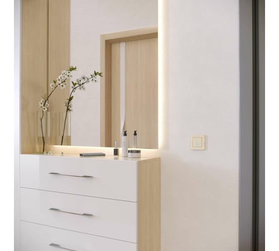 Рамка на 1 пост WERKEL W0012611 Platinum шампань a059210