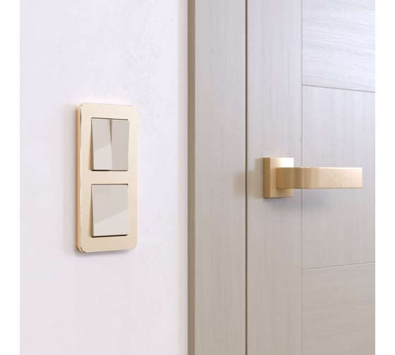 Рамка на 2 поста WERKEL W0022611 Platinum шампань a059214