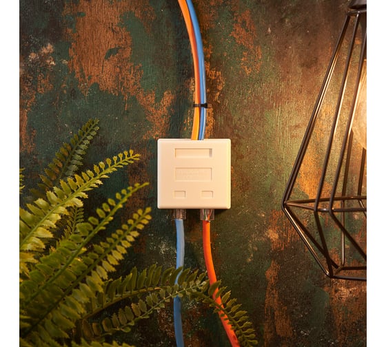 Комбинированная внешняя розетка REXANT RJ-45(8P-8C) + RJ-11(6P-4C), UTP 03-0120