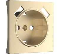 Накладка для розетки USB WERKEL W1179511 шампань a050854