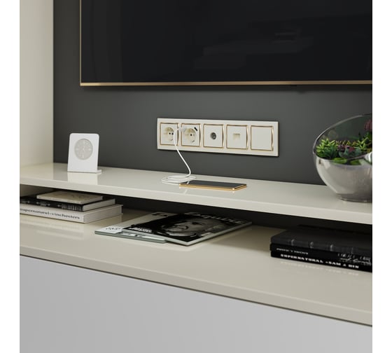 Розетка с заземлением, шторками и USBх2 WERKEL W1171503/ (слоновая кость) a051486