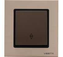 Выключатель Эксклюзивный Шампанское Металлик реверсивный Metronex Electric FVK050206BSH