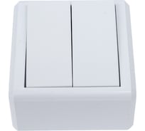 Выключатель Мега двухклавишный Metronex Electric FVK030201BEL