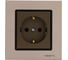 Розетка Metronex Electric Exclusive Champagne Metallic одинарная с заземлением FRZ00041004BSH 1