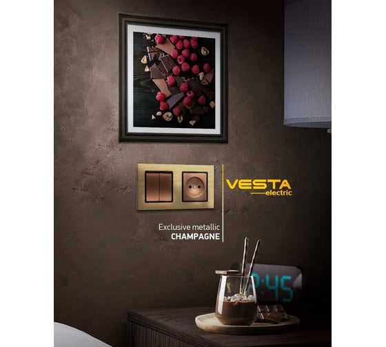 Одинарная розетка Vesta Electric Exclusive Champagne Metallic с заземлением (без рамки) FRZ00041008BSH
