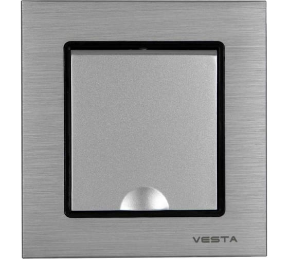 Одинарная розетка Vesta Electric Exclusive Silver Metallic с заземлением с крышкой FRZ00041013SER