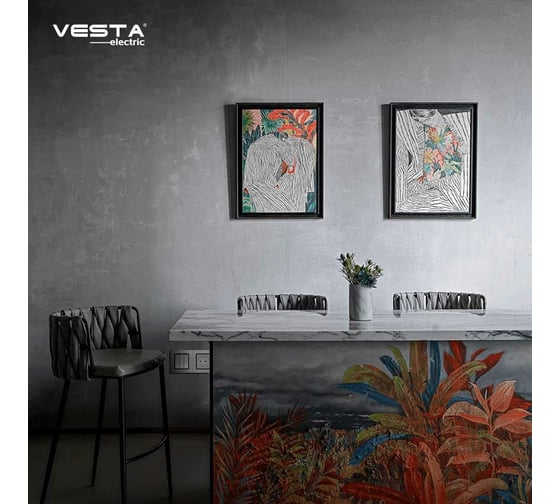 Одинарная розетка Vesta Electric Exclusive Silver Metallic с заземлением с крышкой FRZ00041013SER