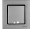 Розетка Metronex Electric Exclusive Silver Metallic одинарная с заземлением с крышкой FRZ00041013SER 2