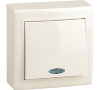 Проходной переключатель Volsten одноклавишный с индикатором V01-32-P12-S 9855