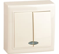 Двухклавишный выключатель Volsten V01-32-V22-S, 9853