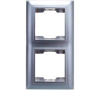 Двухместная рамка Volsten V01-25-A21-M Argento Violet, 10098