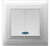 Двухклавишный выключатель с индикатором Volsten V01-21-V22-S Violet, 9089