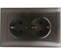 Двухместная розетка с заземлением Volsten V01-24-R24-S Violet, 10090
