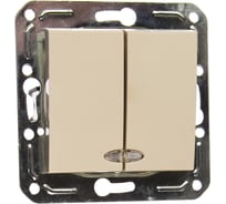 Двухклавишный выключатель с индикатором Volsten V01-12-V22-M Magenta Crema, 9028