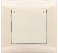 Розетка с заземлением и крышкой Volsten V01-12-R18-S Magenta Crema 8995