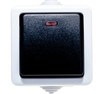 Проходной переключатель Volsten Marin Grey V01-43-P11-S 9445