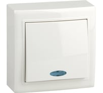 Выключатель с индикатором Volsten V01-31-V12-S, Solar, 9837