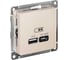 Розетка USB Systeme Electric ATLASDESIGN A + тип-C 45W высокоскор.заряд. QC,PD, механизм, БЕЖЕВЫЙ ATN000229 1
