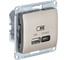 Розетка USB Systeme Electric GLOSSA A + тип-C 45W высокоскор.заряд. QC, PD, механизм, ТИТАН GSL000429 1