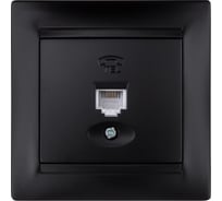 Розетка телефонная RJ11 графит "Лама" TDM ELECTRIC SQ1815-0615