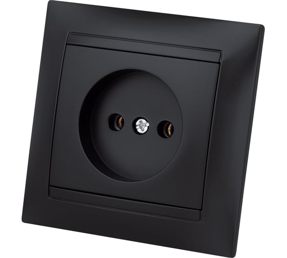 Розетка TDM ELECTRIC 2П 10А 250В графит Лама SQ1815-0622