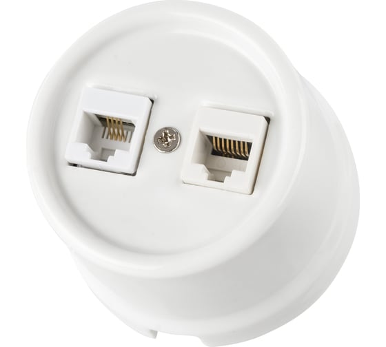 Телефонная розетка TDM ELECTRIC RJ11 + компьютерная RJ45 белая Болонь SQ1820-0052