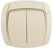 Двухклавишный выключатель СВЕТОЗАР CITY LIGHT, SV-54234-W