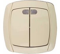 Двуклавишный выключатель с индикатором Светозар_ CITY LIGHT, SV-54235-B