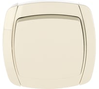 Одноклавишный выключатель СВЕТОЗАР CITY LIGHT, SV-54230-W
