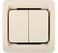 Двухклавишный выключатель СВЕТОЗАР CITY, SV-54134-B