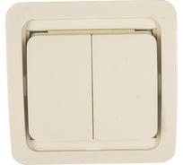 Двухклавишный выключатель СВЕТОЗАР CITY, SV-54134-W
