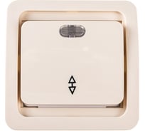 Выключатель проходной одноклавишный с индикатором СВЕТОЗАР CITY SV-54138-B