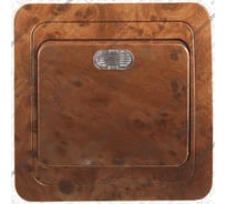 Одноклавишный выключатель с индикатором СВЕТОЗАР ГАММА, SV-54131-N