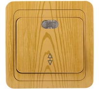 Выключатель проходной одноклавишный с индикатором СВЕТОЗАР ГАММА SV-54138-A