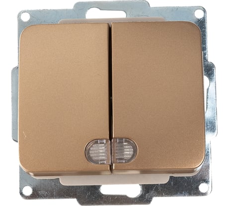 Двухклавишный выключатель с индикатором СВЕТОЗАР ГАММА, SV-54135-GM