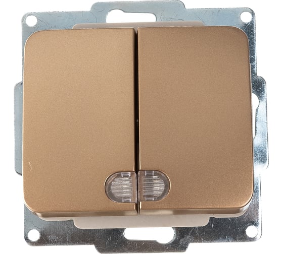 Двухклавишный выключатель с индикатором СВЕТОЗАР ГАММА, SV-54135-GM 1