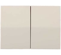 Двухклавишный выключатель СВЕТОЗАР ЭФФЕКТ, SV-54434-B