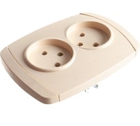 Двойная розетка СВЕТОЗАР CITY LIGHT SV-54202-B