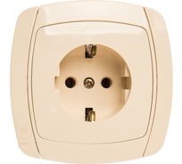 Одинарная розетка с заземлением СВЕТОЗАР CITY LIGHT SV-54205-B